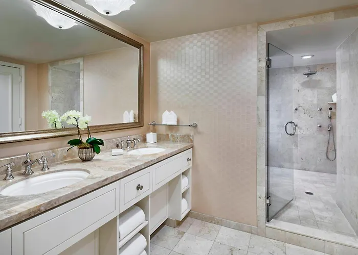 Presidential One-Bedroom King Suite