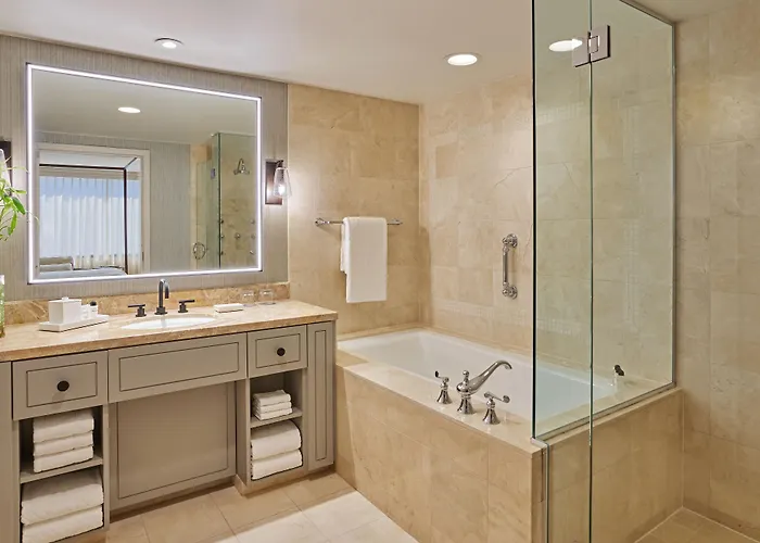 Presidential One-Bedroom King Suite